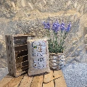 Riz Rond Beauduc